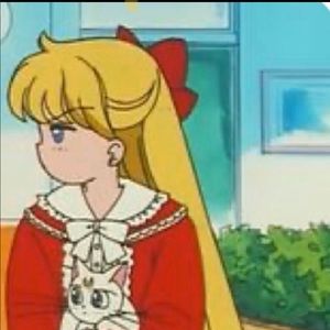 Meet your Posher, Shelby